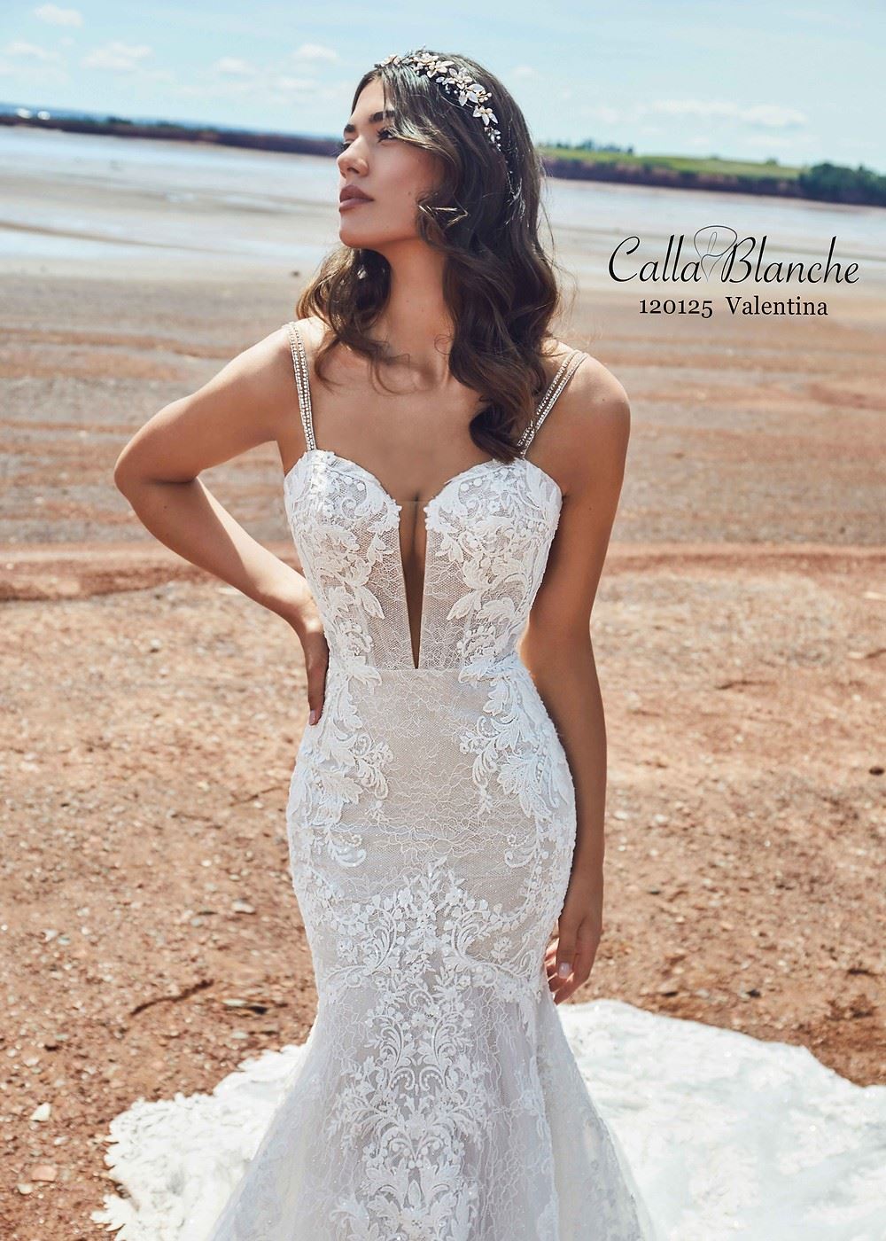 Calla Blanche Valentina