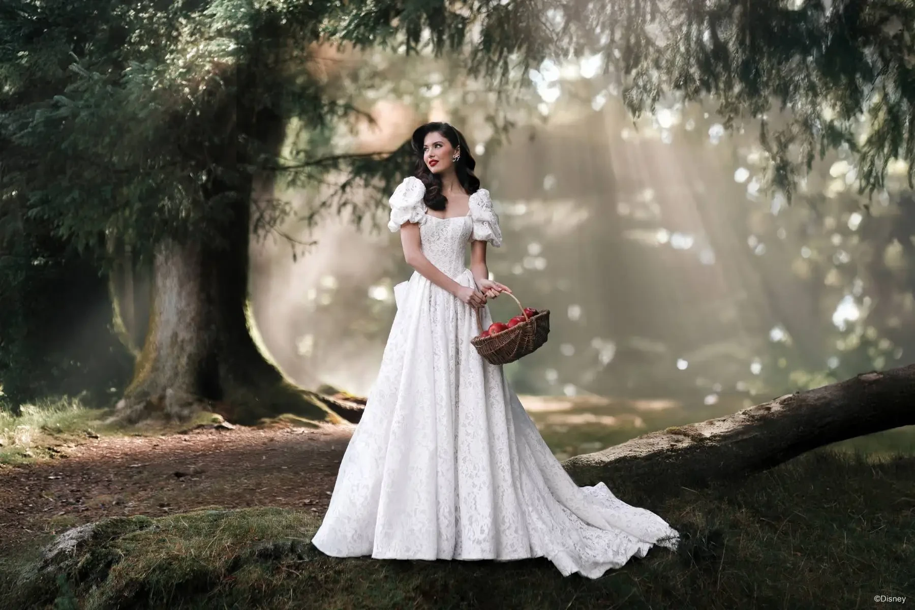 Models wearing Disney Allure Wedding Dress and Disney Villain wedding dress