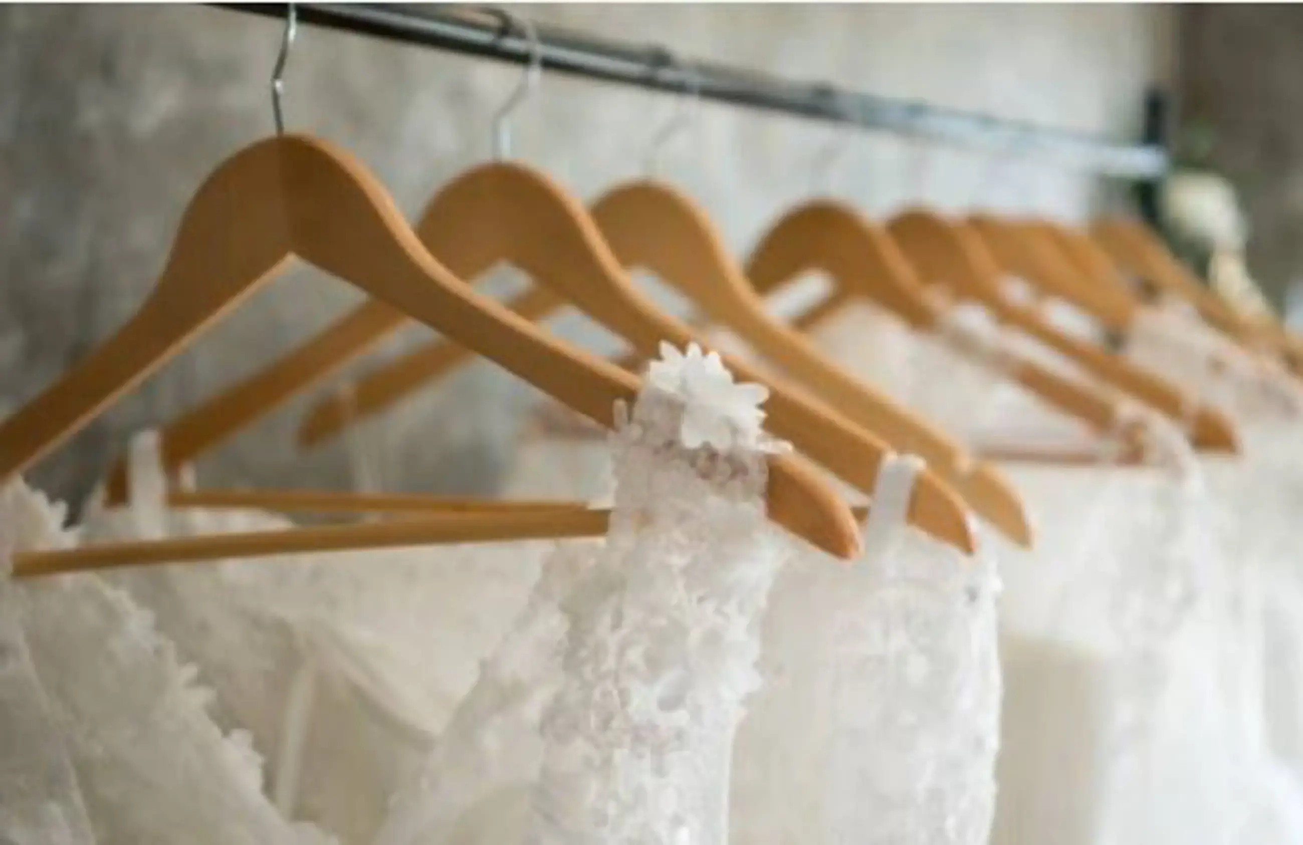 Classic Bridal Appointment at Trudys Brides