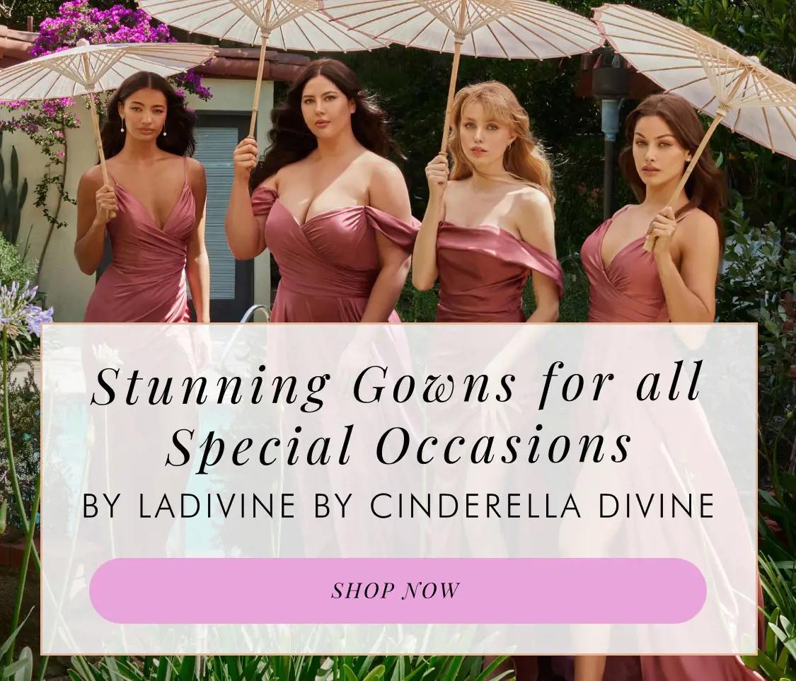 Special Occasion dresses by LaDivine by Cinderella Divine
