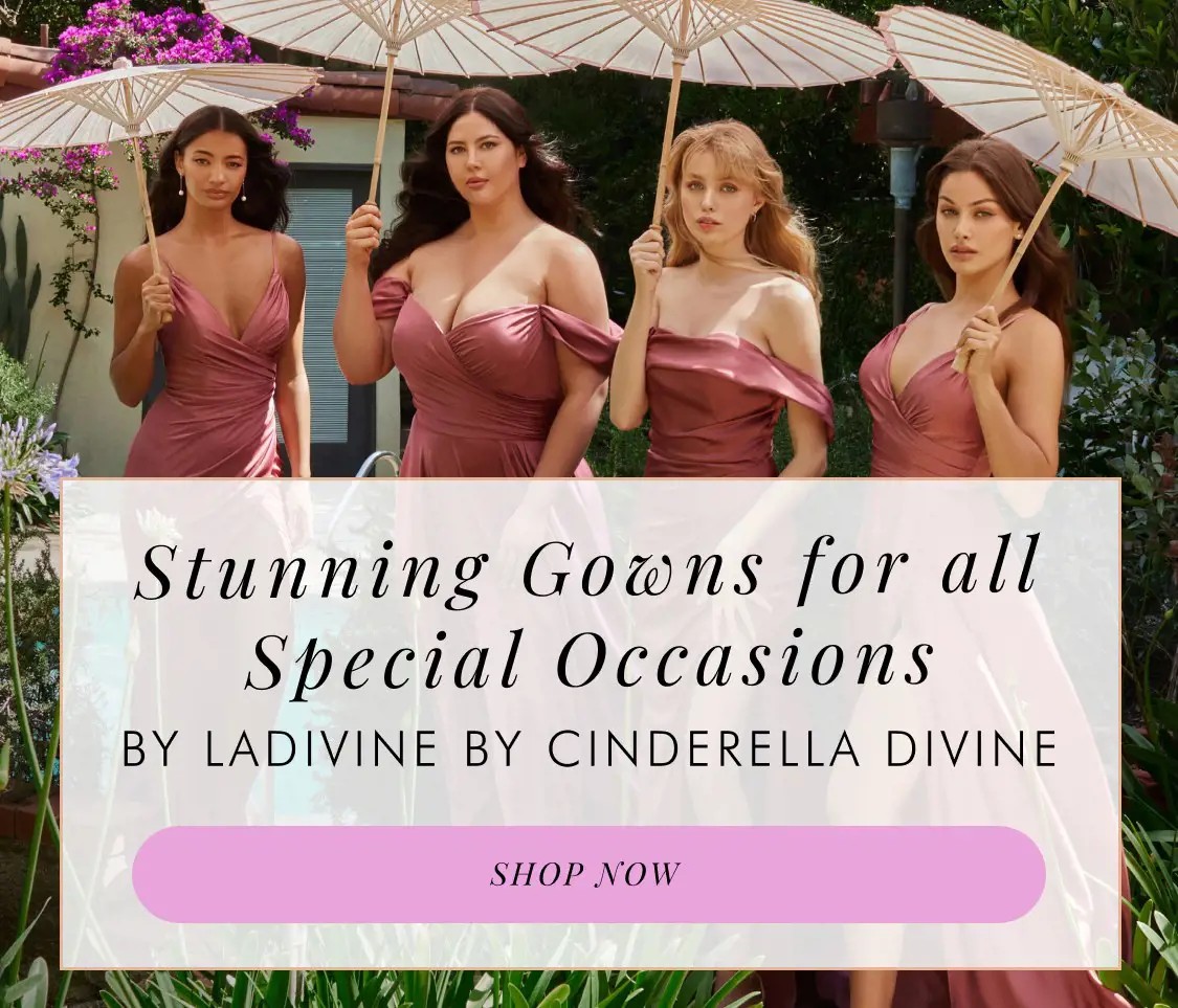 Special Occasion dresses by LaDivine by Cinderella Divine